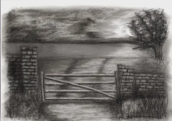 Printer paper - A4 | 11-05-2025