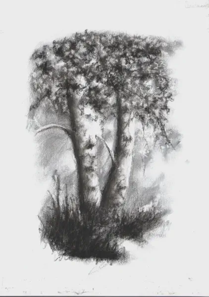 Printer paper - A4 | 17-05-2025