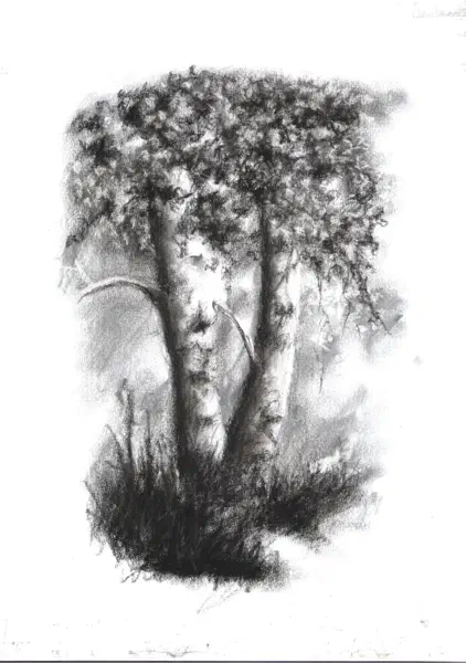 Papier do drukarki - A4 | 29-06-2025